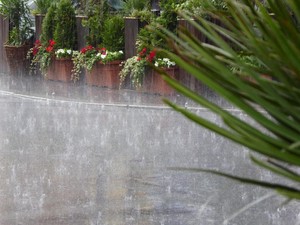 13 Wilayah Jawa Timur yang Diguyur Hujan Petir Siang Hari Ini