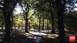 Kurangi Polusi, Kendaraan Dilarang Melintas di Central Park