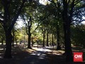Kurangi Polusi, Kendaraan Dilarang Melintas di Central Park