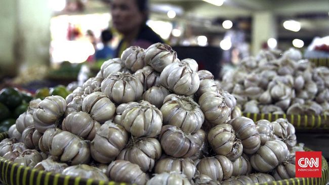Enggar Ungkap Perusahaan China Monopoli Bawang Putih Impor