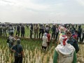 Bentrokan di Majalengka Berawal dari Pengukuran Lahan Runway