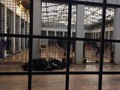 Pria Selandia Baru Menyesal Gabung ISIS karena Urusan Syahwat