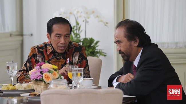 Paloh Sebut NasDem Bersyukur Koalisi Pemerintahan Jokowi