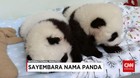 Rangkuman Peristiwa Mancanegara