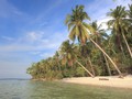 Riang Berlabuh di Kepulauan Karimunjawa