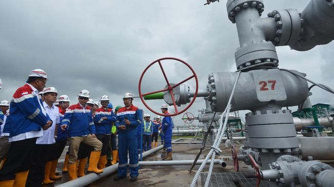 Jonan Wajibkan Produsen Gas Pasok Pembangkit Listrik