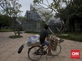 Satu Juta Pohon Belum Bisa Menyejukkan Jakarta