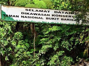 Asal-usul Taman Nasional Bukit Barisan Selatan dan Keunikannya