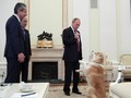 Gonggongan Anjing Putin Bikin Wartawan Jepang Gugup