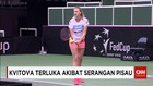 Petra Kvitova Jadi Korban Penusukan Perampok