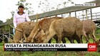 Piknik ke Taman Edukasi Penangkaran Rusa