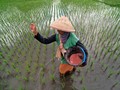 Pusri Tagih Kementan Bayar Dana Subsidi Pupuk Rp3,2 Triliun
