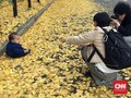 Menikmati Romantisme Musim Gugur di Tokyo