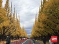Tokyo dan Gangneung, Destinasi Favorit Pengguna Airbnb