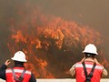 Kobaran Api Lalap 100 Rumah di Chile