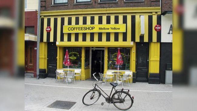 Puluhan Kafe Bermenu Ganja di Belanda Tutup Usaha