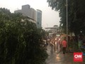 Pohon Tumbang di Warung Buncit, Lalu Lintas Macet Total