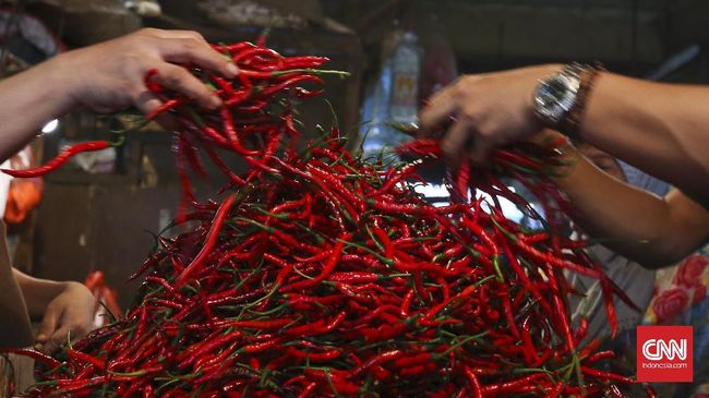 Mentan Klaim Harga Cabai Mulai Stabil