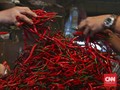 Mentan Klaim Harga Cabai Mulai Stabil