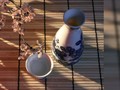 Menikmati Berendam Sake di Negeri Sakura