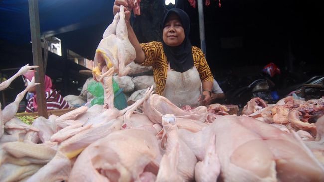 BI Ramal Inflasi April 2017 Tembus 4,7 Persen Akibat Ayam