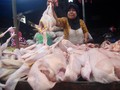BI Ramal Inflasi April 2017 Tembus 4,7 Persen Akibat Ayam