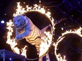 Paksa Harimau Mengaum, Kebun Binatang Thailand Dikritik