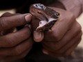 Interogasi Pencuri Pakai Ular, Polisi di Papua Diberi Sanksi