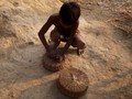 Murid di India ke Sekolah Tanpa Sadar Ada Ular dalam Tasnya