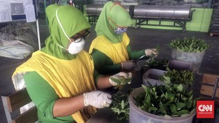ILO: 40 Juta Orang Masih Terjebak dalam Perbudakan