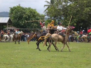 Pasola Lamboya di Sumba Barat Kembali Digelar 10 Februari