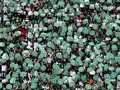 Kemenangan Debut Chapecoense Sejak Tragedi Kecelakaan Pesawat