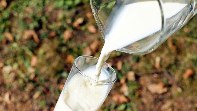 Studi: Rajin Minum Susu Saat Flu Bikin Tambah Ingusan