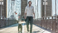 Sinopsis John Wick 2 di Bioskop Trans TV Hari Ini