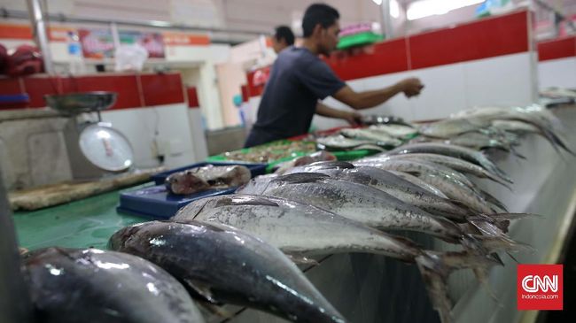 KKP: Waspadai Ancaman Penyakit 'Tilapia Lake Virus' pada Ikan