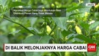 Di Balik Melonjaknya Harga Cabai