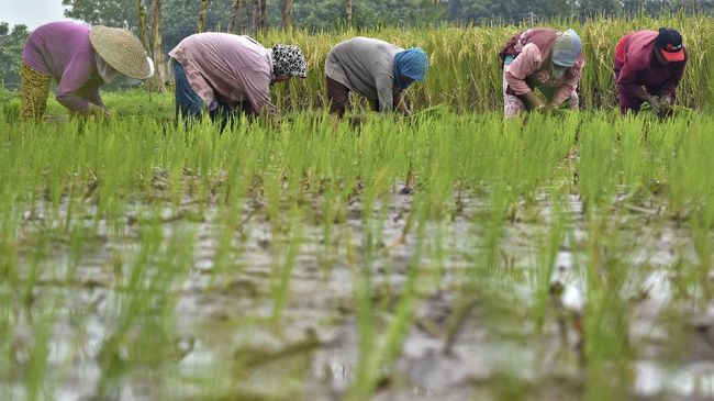 Panen Bergeser, Pertumbuhan Ekonomi Kuartal I Diramal Landai
