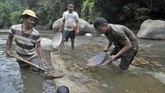 Warga mencari emas dengan mendulang di Sungai Batang Sumpur Lubuk Tasapik, Nagari Sisawah, Sumatera Barat, Rabu (15/2). (ANTARA FOTO/Iggoy el Fitra)