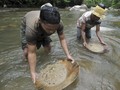Penambang Emas Tradisional yang Tak Suka Mengeluh