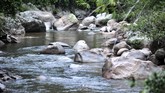Aliran Sungai Batang Sumpur Lubuk Tasapik, Nagari Sisawah, menyimpan kekayaan emas yang menjadi daya tarik warga, Rabu (15/2). (ANTARA FOTO/Iggoy el Fitra)
