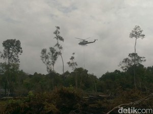 Pemprov Jambi Naikkan Status Karhutla Jadi Siaga Darurat