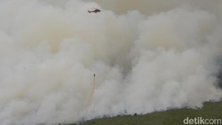 15 Ribu Hektare Terbakar pada 2024, Lahan Gambut Paling Diwaspadai