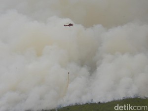 BMKG Batam Ingatkan Warga Waspada Karhutla di Wilayah Kepri