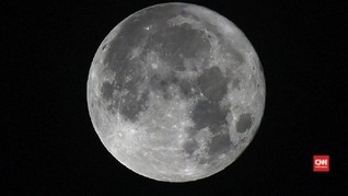 Elon Musk Berencana Buka Perjalanan Wisata ke Bulan