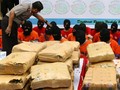 Polisi Tangkap Sindikat 1,4 Ton Ganja Ditimbun di Ikan Asin