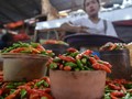 Harga Cabai Masih Merangkak Naik