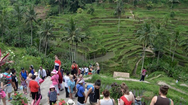 Membentengi Kelestarian Alam Di Bali Dengan Ritual Sakral