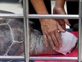 Sumatera Barat Bakal Bangun Dua Kawasan Konservasi Penyu Baru
