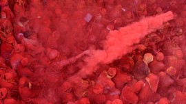 4 Destinasi Seru untuk Merayakan Festival Holi Tahun Ini