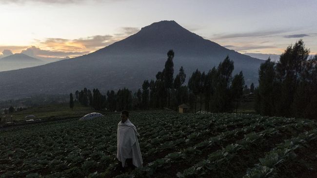 Mengawal Komitmen Dua Kabupaten Menjaga Sindoro-Sumbing